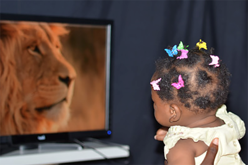 vauva katsoo leijonan kuvaa tutkimuksessa