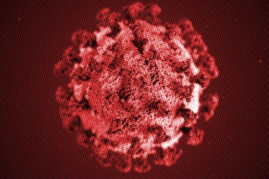 koronavirus. CDC (Centers for Disease Control and Prevention) / Unsplash & Jonne Renvall