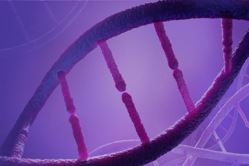 DNA helix 
