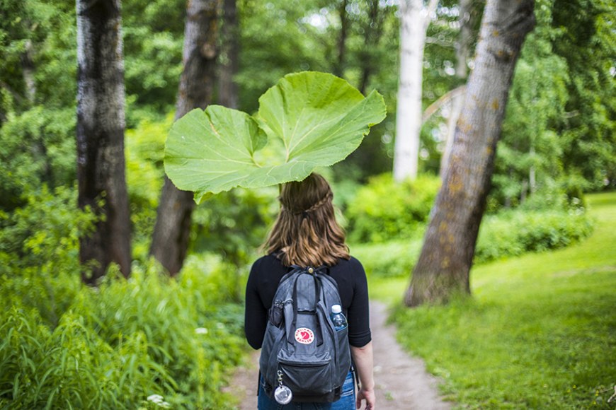 Ihminen kävelemässä metsässä reppuselässään, ison kasvin lehti kädessään.