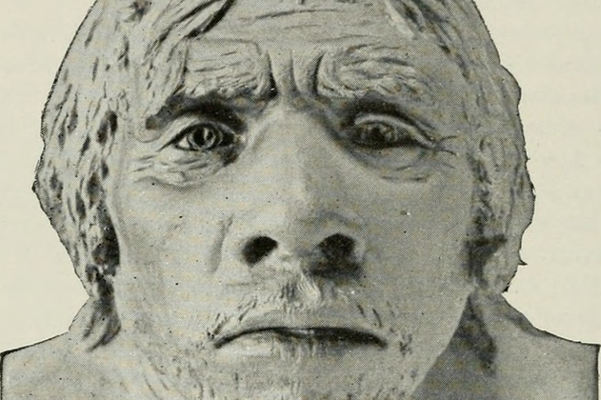 Neandertalinihmisen kasvot. Kuva: Internet Archive Book Images / Wikimedia Commons