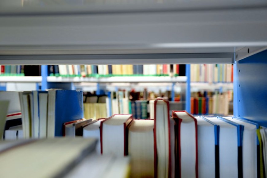 Kirjojen ja avohyllyn yli näkyy taustalla toinen kirjaston kirjahylly..