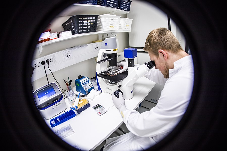 Tutkimusryhmän jäsen Robert Perttilä tarkastelee mikroskoopilla syöpäsoluja. 