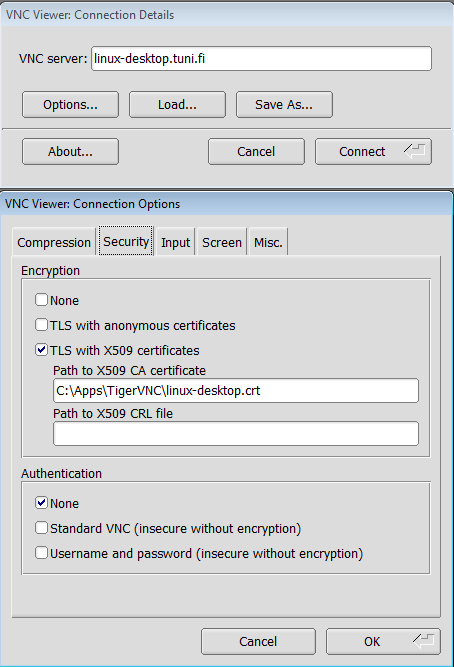 VNC Viewer: Connection Options, Security tab