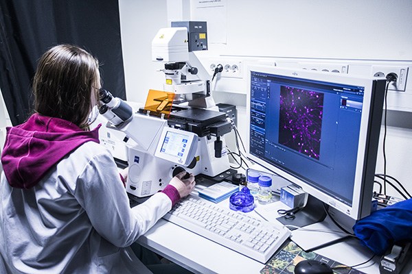 Zeiss LSM 800 Laser Scanning Confocal Microscope
