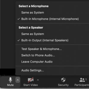 Zoom audio menu