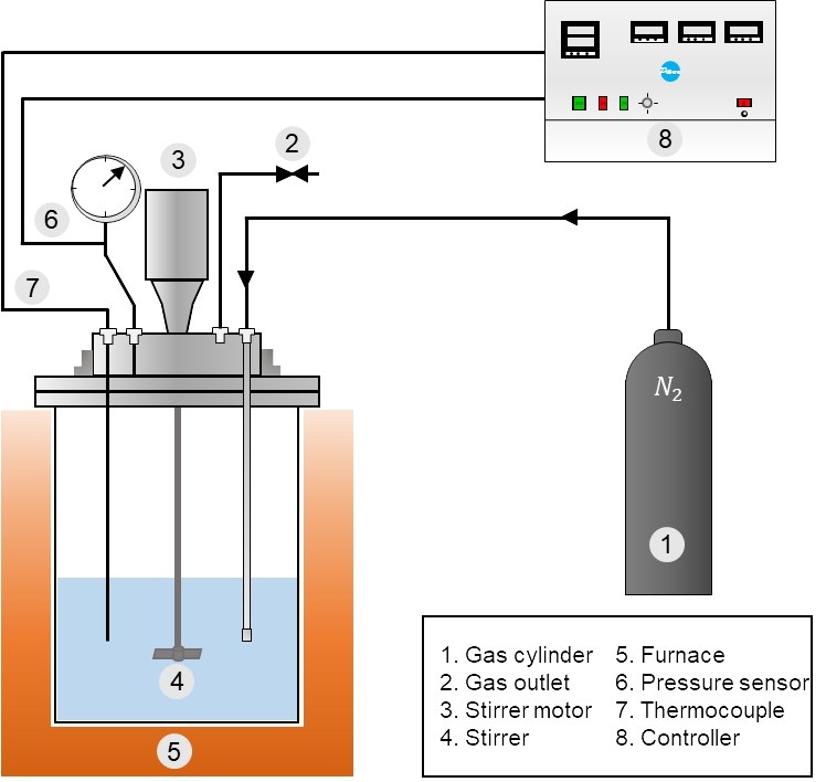 Schematic presentation of the Parr reactor