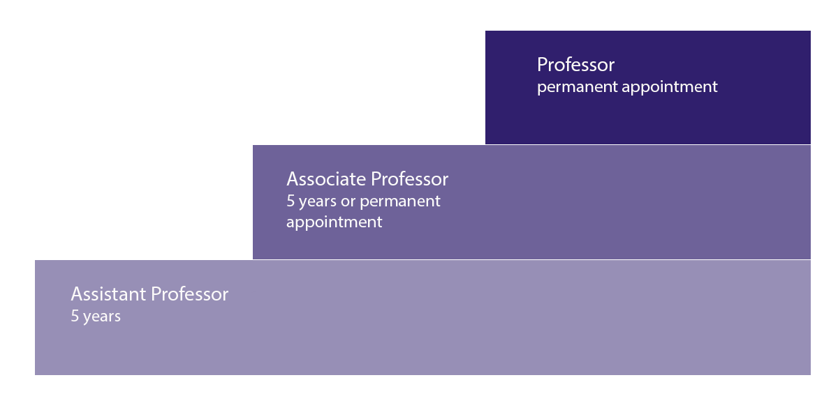 Tenure track career path for researchers