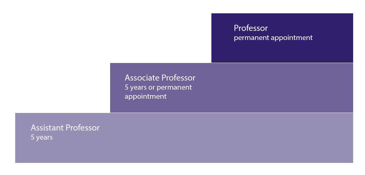 Tenure Track Career Path Tampere Universities