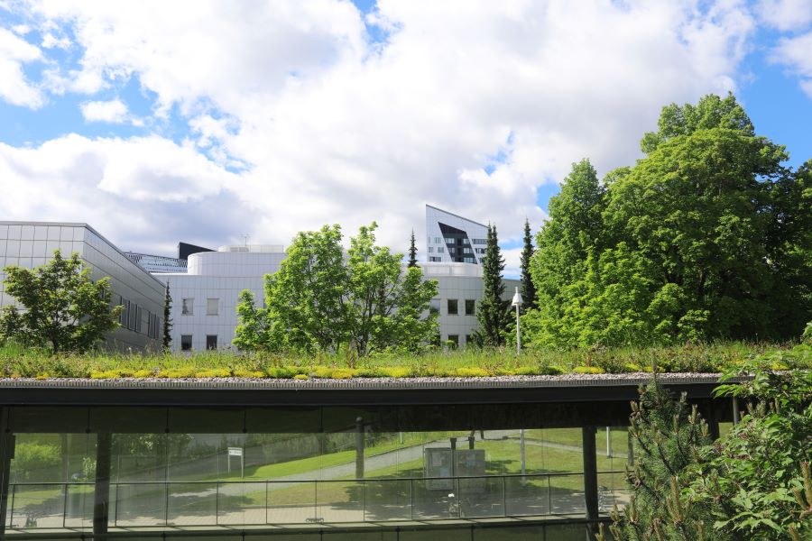 Kalevantien alikulkukäytävän päällä on rehevä viherkatto ja taustalla on myös puita täydessä lehdessä.