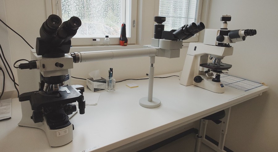 Light microscopes for viewing of samples.