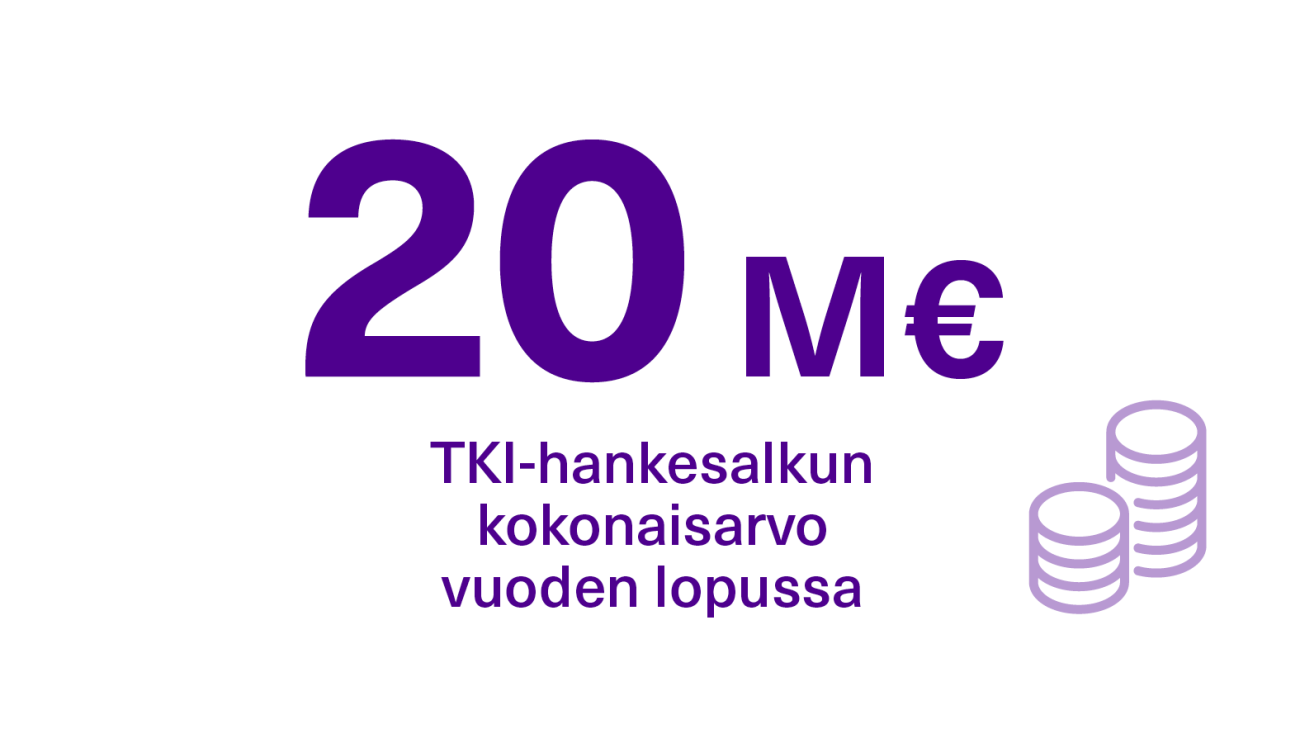 TKI-hankesalkun kokonaisarvo vuoden lopussa oli 20 M€.