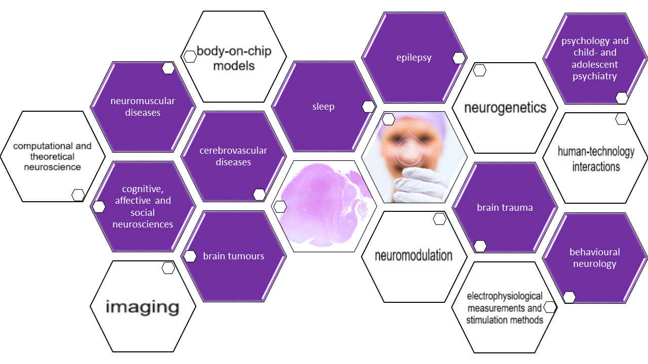 Tampere Brain & Mind   tunnetaan erityisesti tutkimuksestaan 