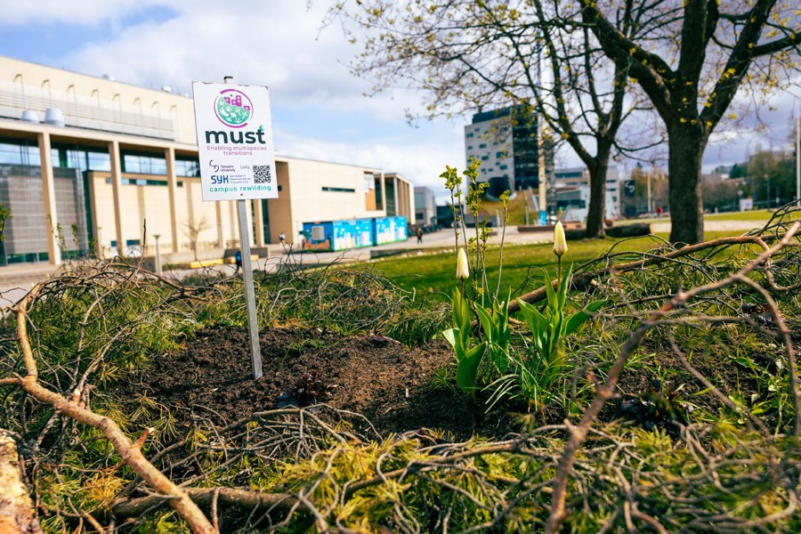 Kuvassa istutuksia, muutama puu ja taustalla yliopiston rakennus Hervannan kampuksella.