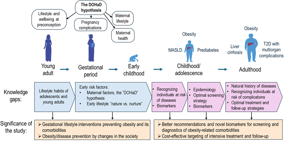 Understanding the pathophysiology and natural history of obesity related metabolic abnormalities to promote optimal treatment and prevention strategies in children. 