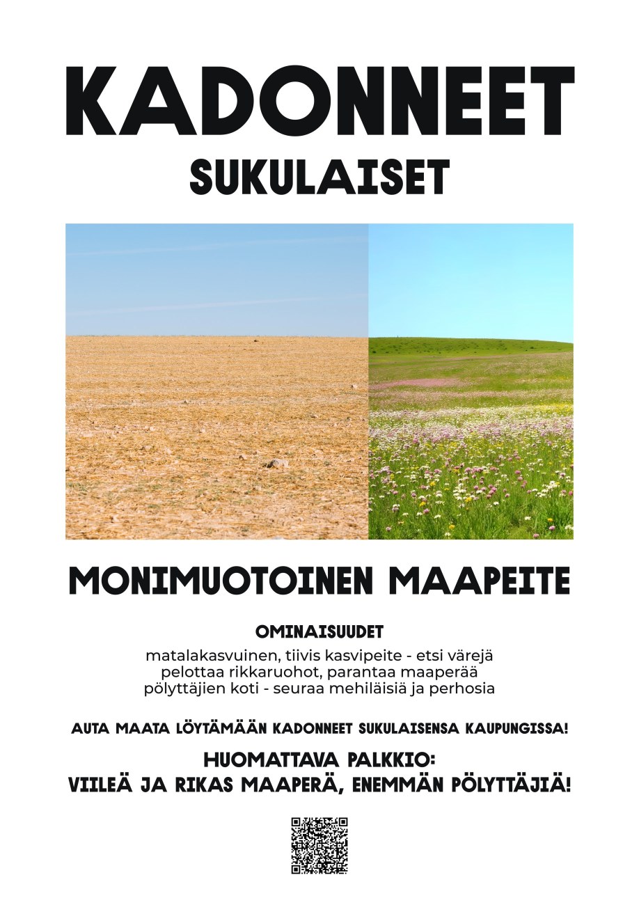 Kadonnut maapeite -taidejuliste