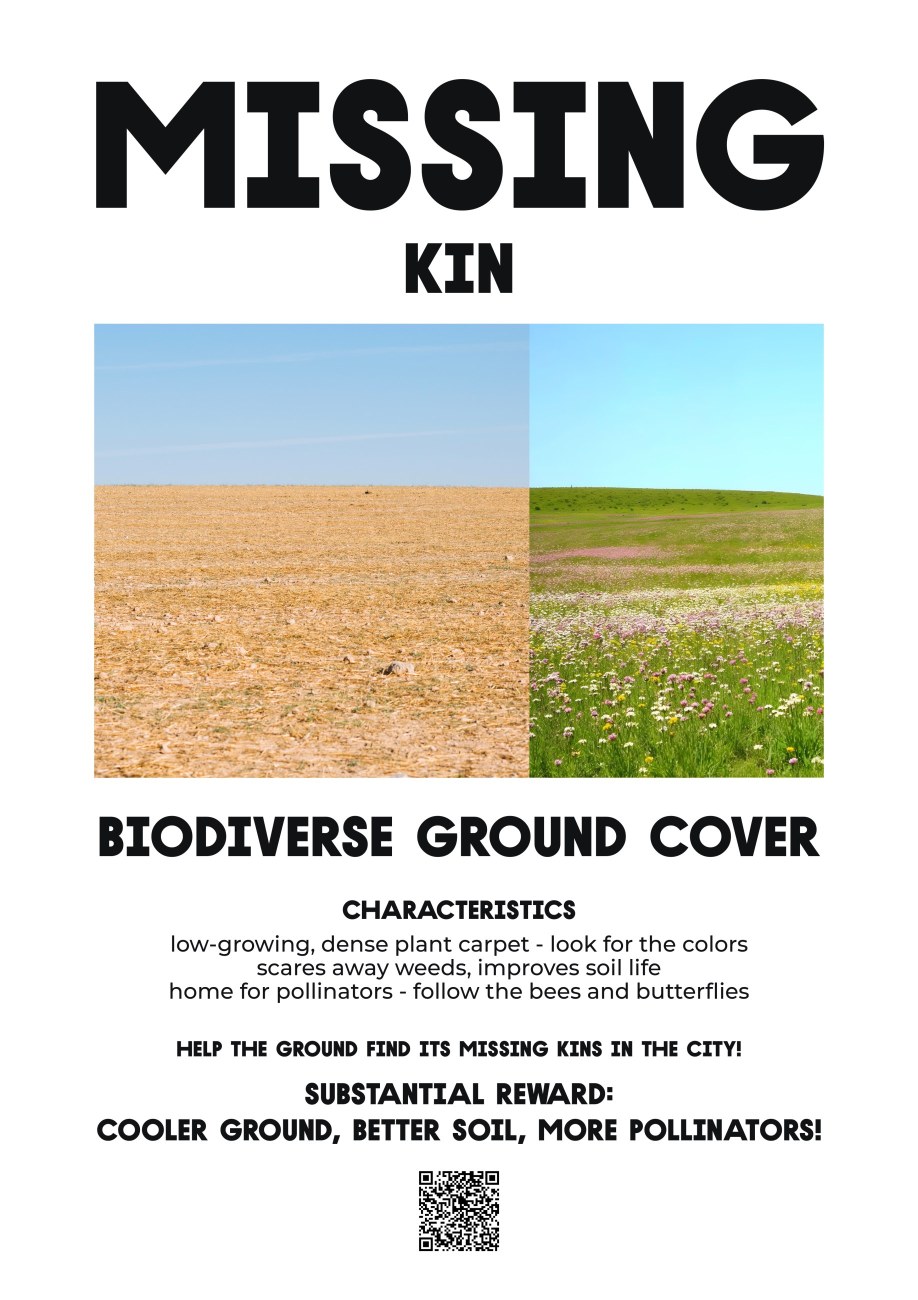 Missing groun cover art poster