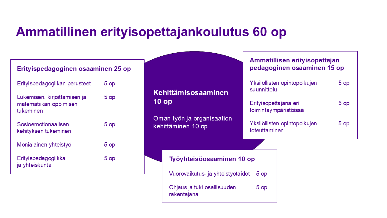 Kuva ammatillisen erityisopettajankoulutuksen opetussuunnitelmasta. Kuvan tekstit löydät kuvan yläpuolella olevasta linkistä.