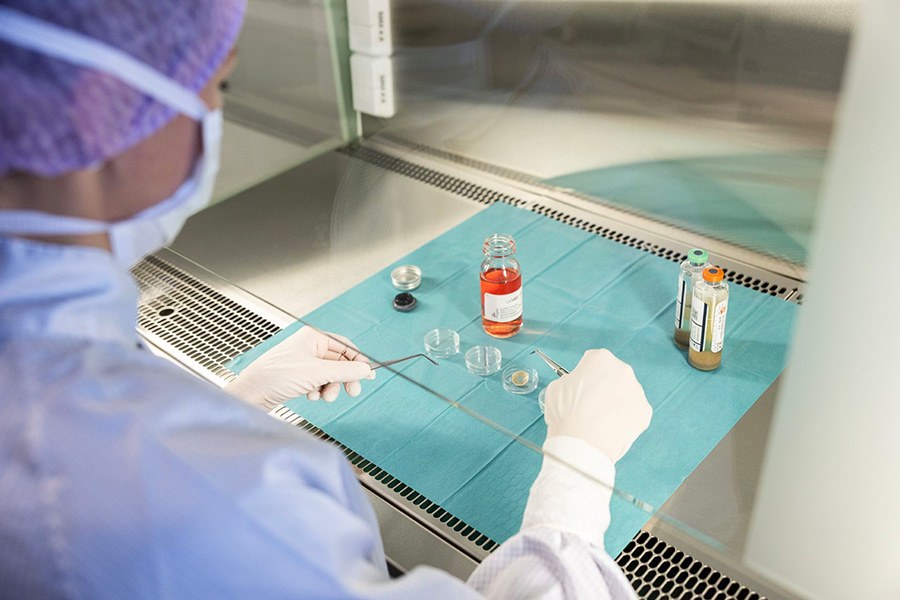 A person is handling corneas in a laboratory.