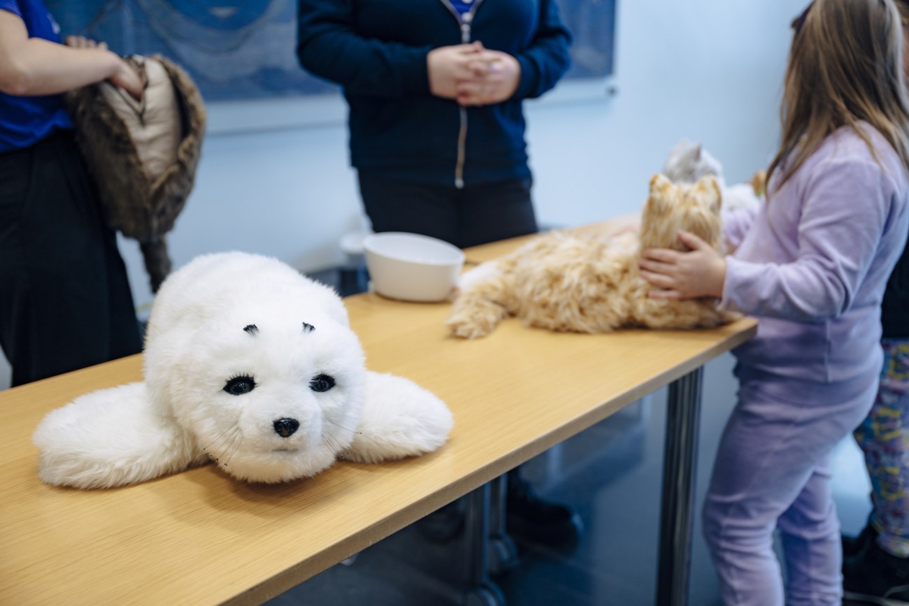 Etualalla pöydällä on hyljepehmolelu. Takana näkyy lapsi, joka silittää kissapehmolelua. Pöydän takana seisoo kaksi henkilöä, joiden kädet näkyvät kuvassa.