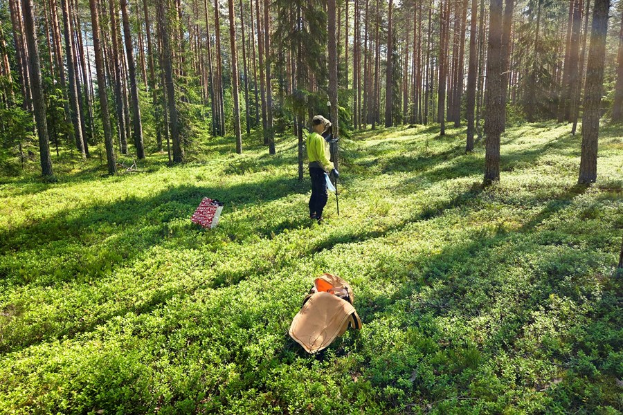 Tutkija mittaa maaperän hiilipitoisuutta metsässä.
