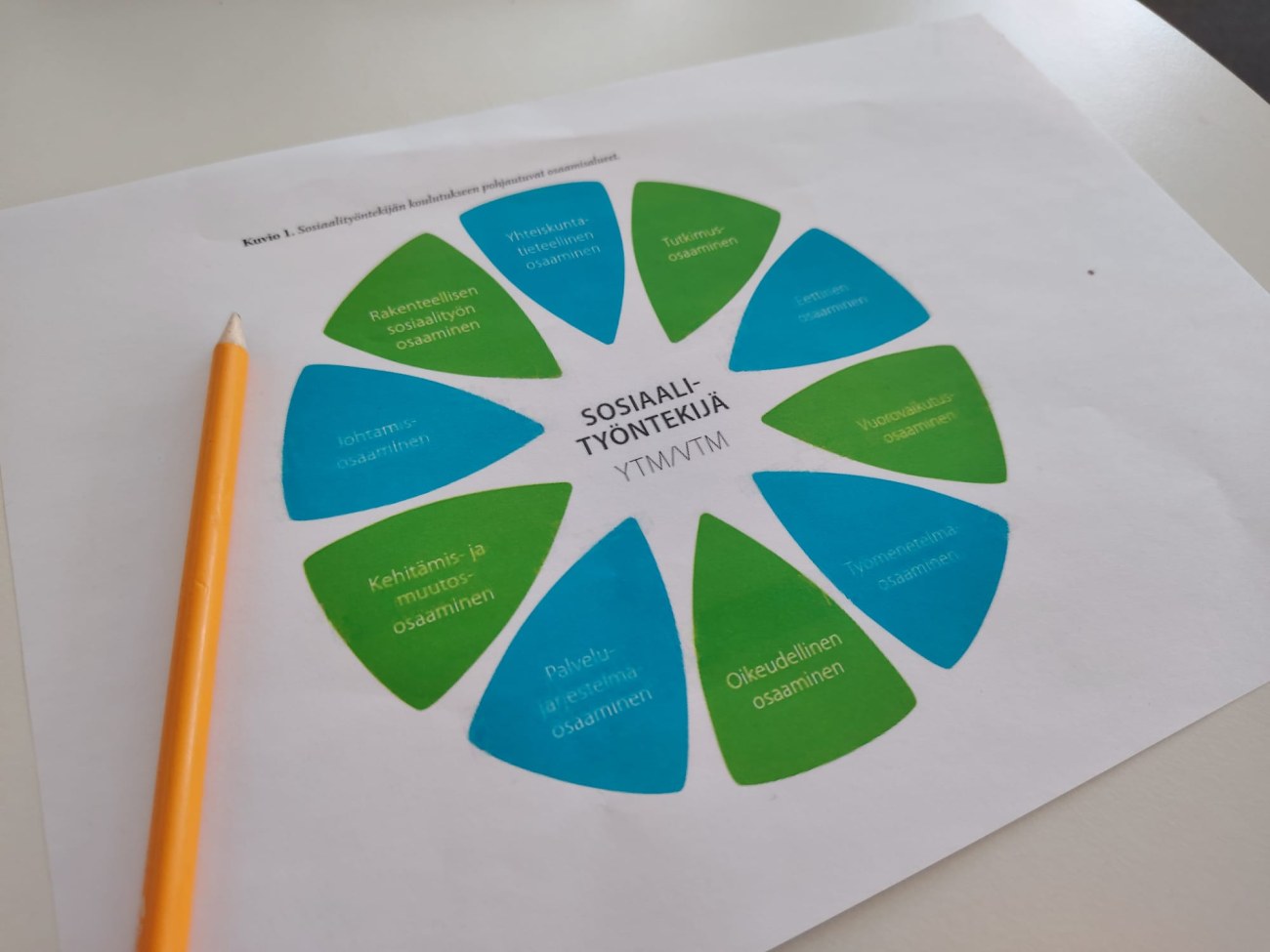 Sosiaalityön kompentenssikukka