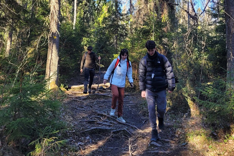 Two people walking in the forest 
