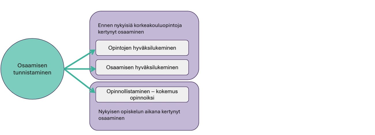 Tässä kuvataan TAMKin osaamisen tunnistamisen kokonaisuutta.