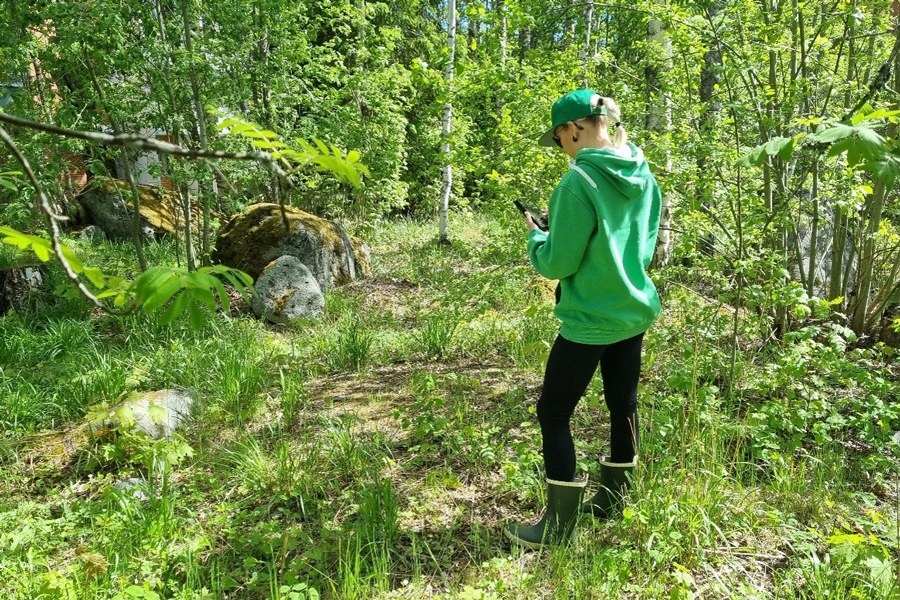 Vihreisiin pukeutunut ihminen käyttää mobiilia luontopeliä metsässä.