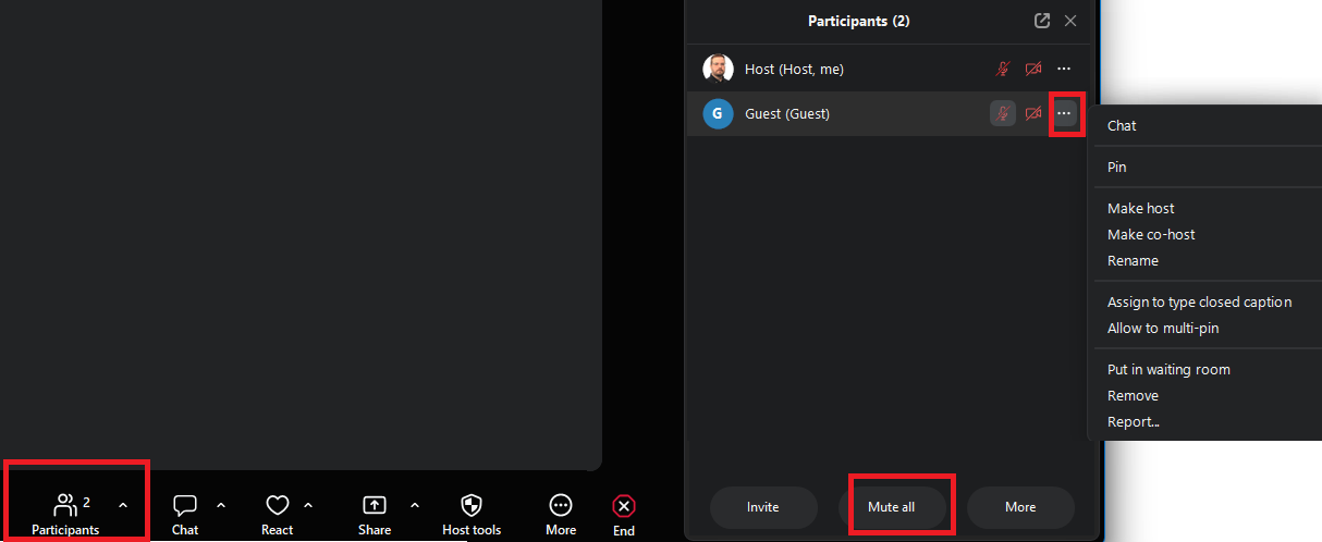Zoom manage participants.