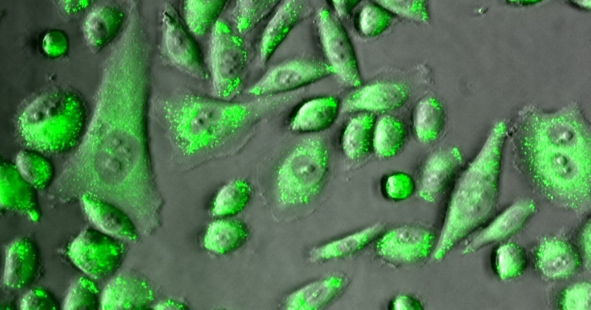 Supramolecular chemistry of bio- and nanomaterials | Tampere University