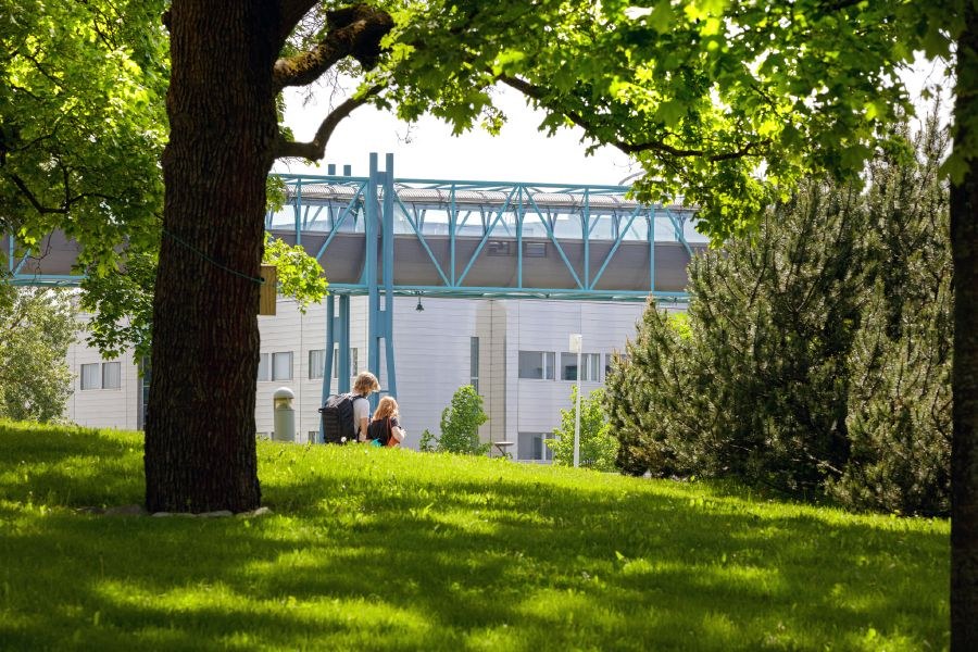 City centre campus in summer