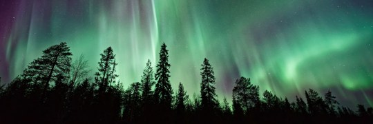 Finnish Northern Lights